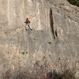 Foivos Nikolaos  Karagiannis