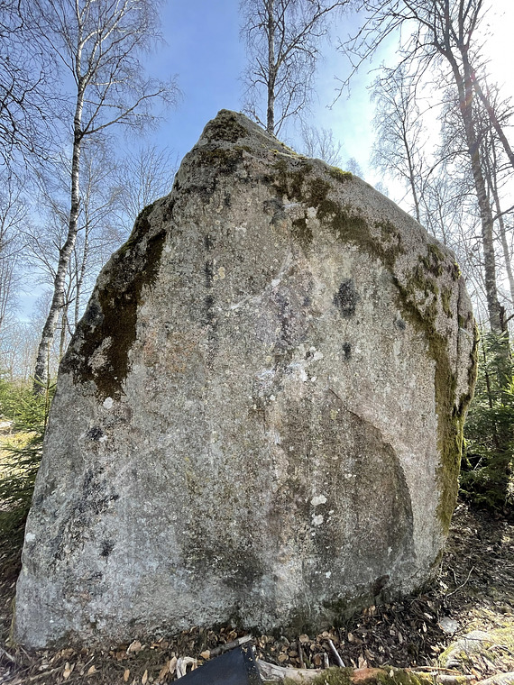 Rehabiliteringsblocket