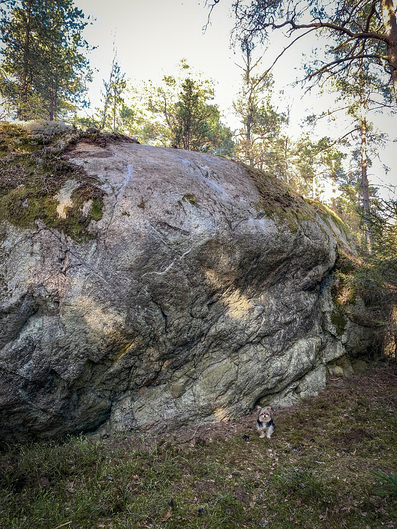 Dog Rock boulder