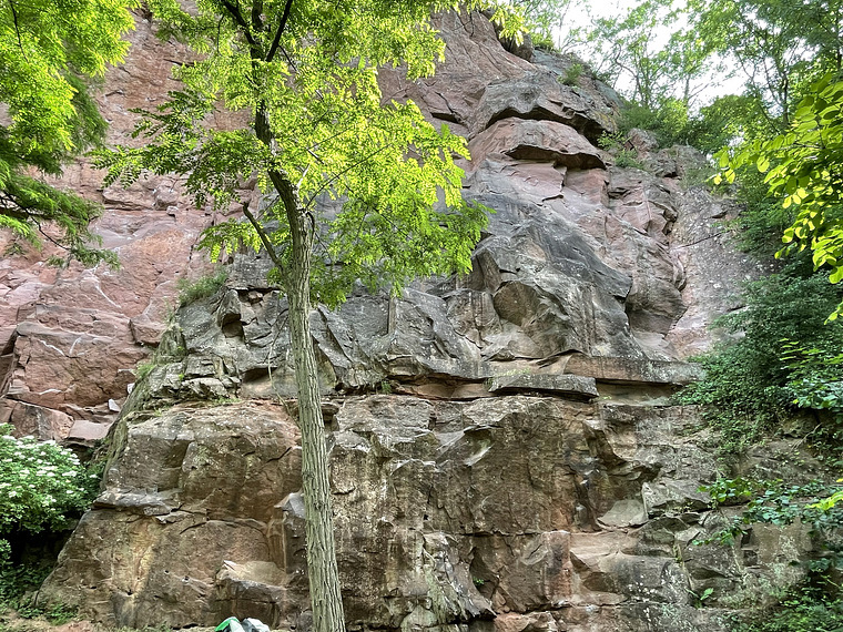 Secteur de droite: The Right Sector