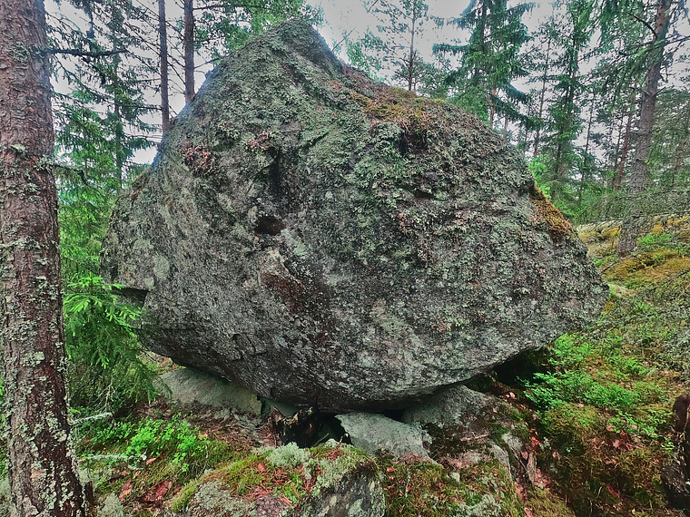 Hassinlahden vartija