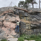 Mykolas Vaitiekūnas