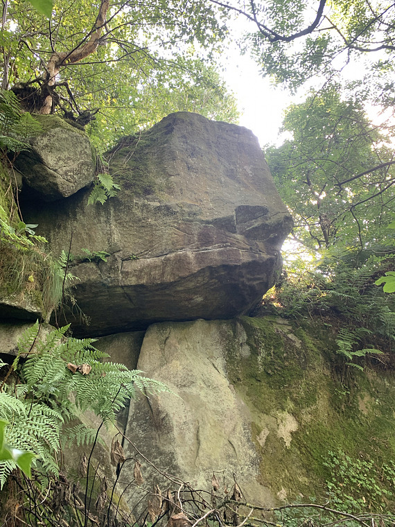 It sounded better in French