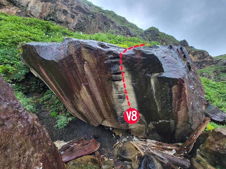 羈絆之樹 Tree of Kizuna