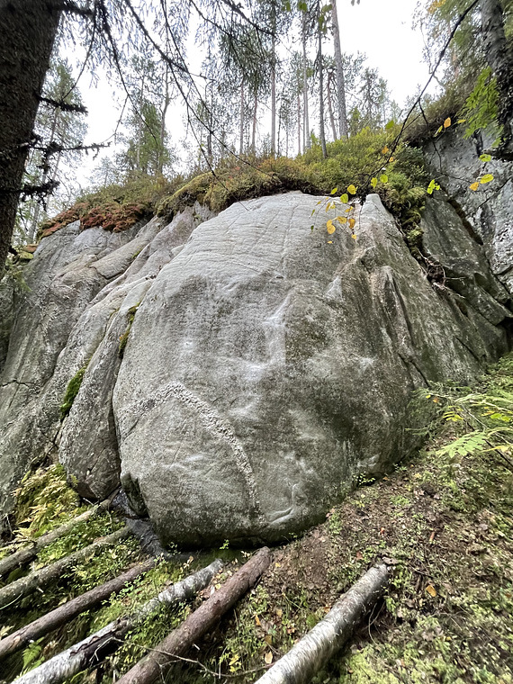 Karpolla on eutanasiaa