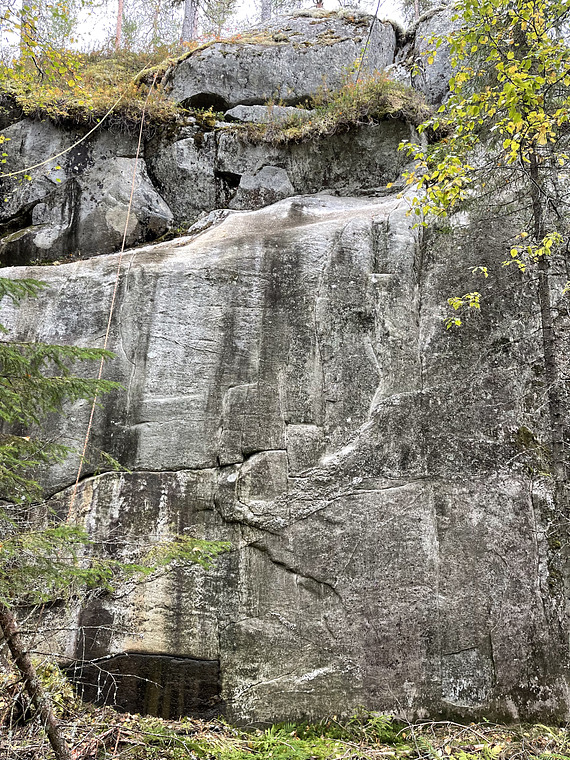 Near Life Experience