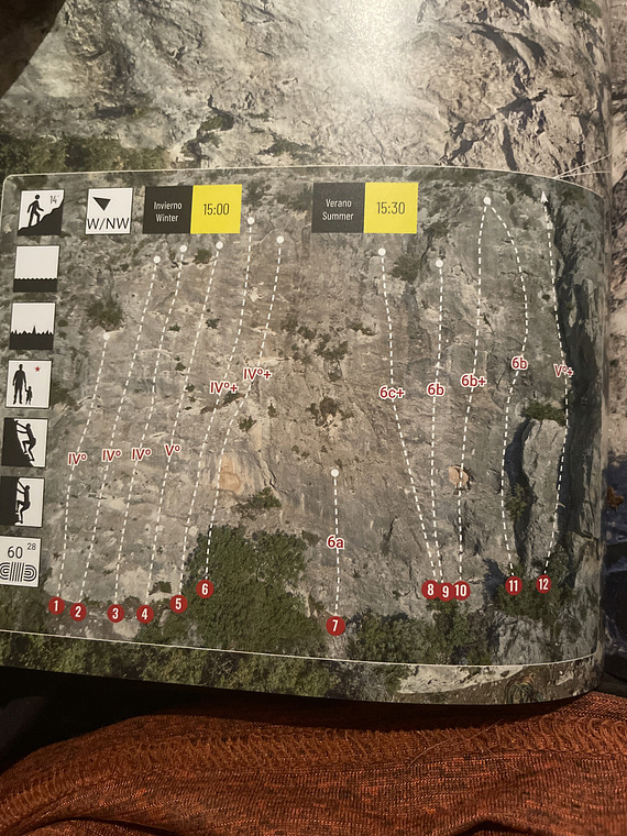 Cabeçonet JABUGO Paletilla y Jamon York