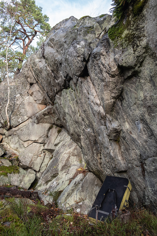 Treechnichal Knockout