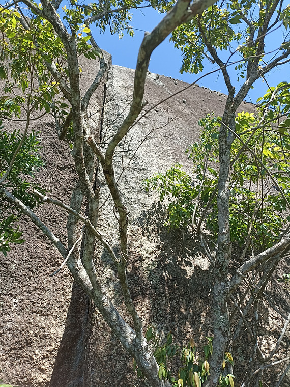 Pedra do vôo abaixo do cume