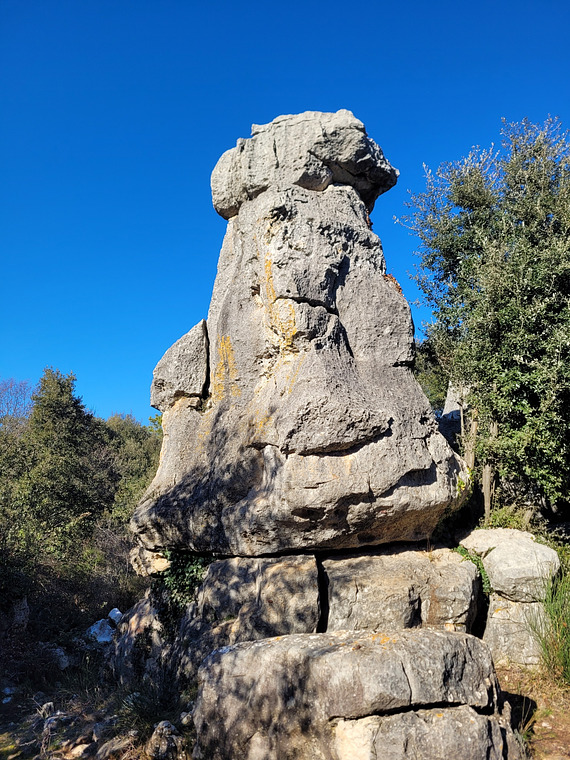 Secteur des éléphants 