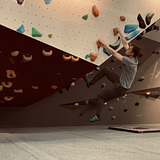 Quinten Van Den Bergh