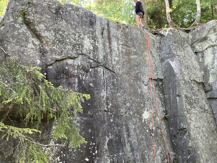 Hovedfelt, venstre del