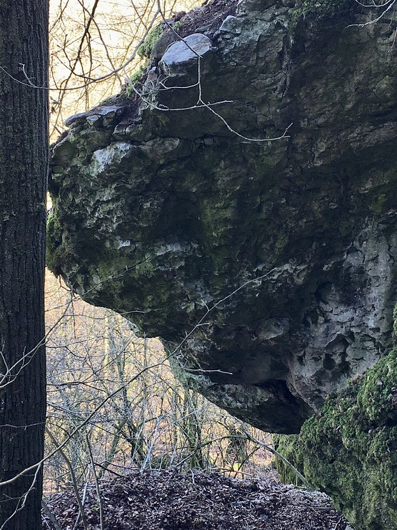 Reise durch Mittelerde 