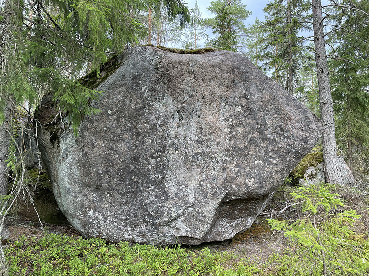 Yläsektori