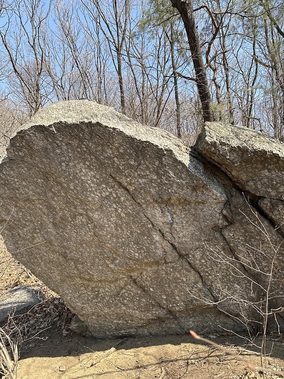 Symptoms of concussion