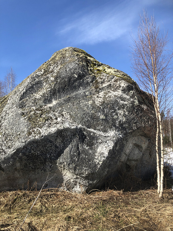 Rusina de la rasahdus