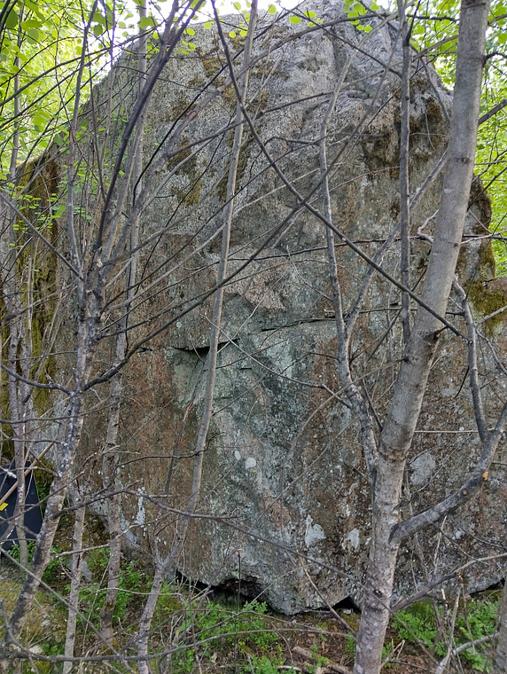 Den otrevliga småskogens block