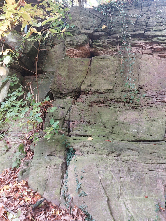 Freitagstempel kirchspitze