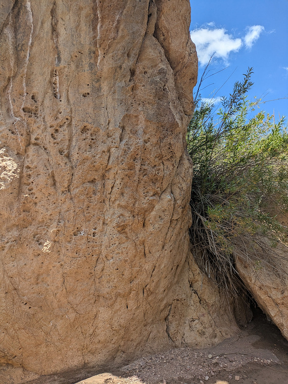 Gambio es mujer de moon