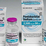 Where to buy nembutal  Pentobarbital 