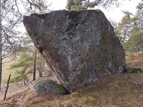 Äggboden (unbrushed)