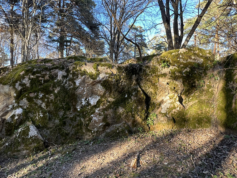 Trollmors mossiga sköte 