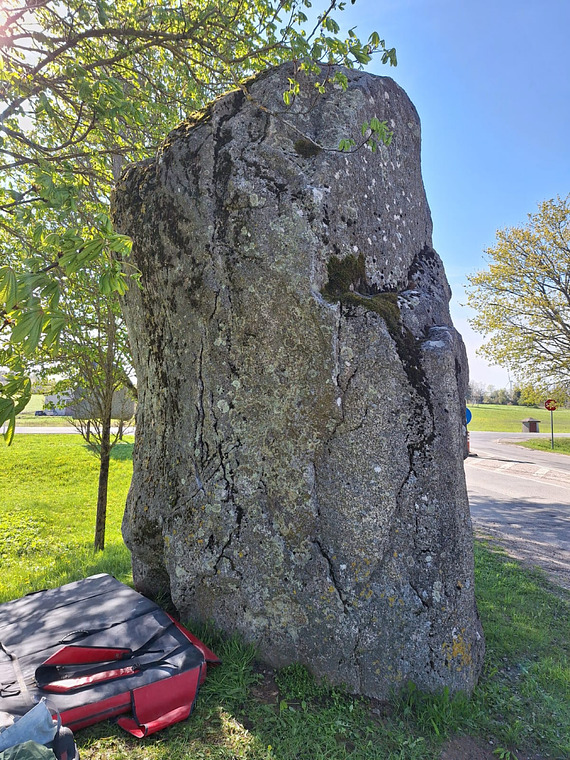 Mosėdžio ženklas 2