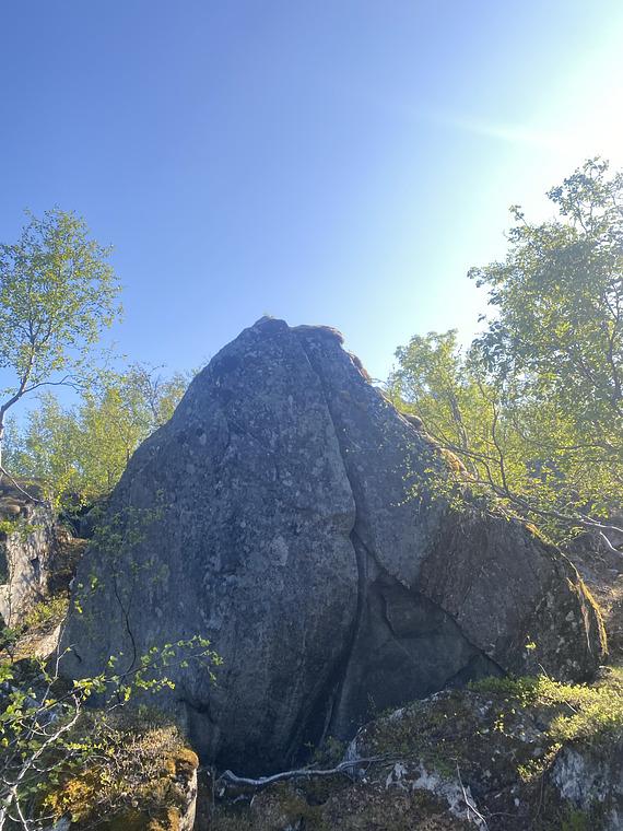 Blombak og søringen