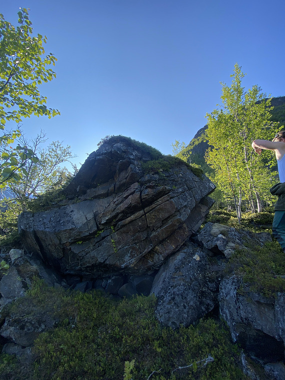 Blombak og søringen