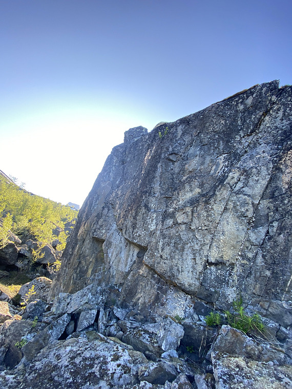 Blombak og søringen