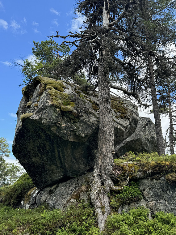 Kløyvd Stein Part 2