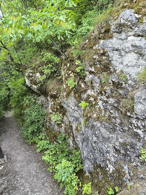 Tábor-Hegyi-Barlang