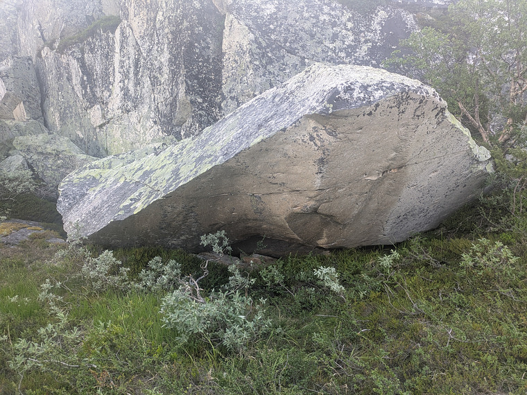 Langbukse ved middagsservering