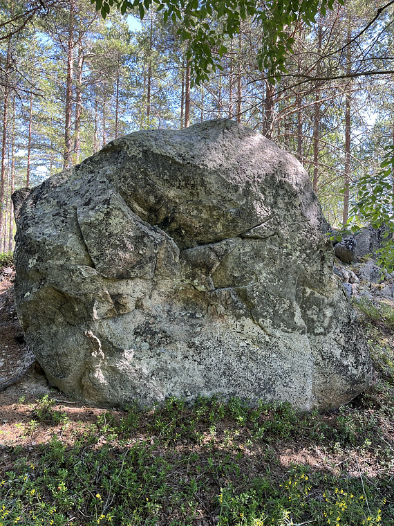 För de särskilt intresserade