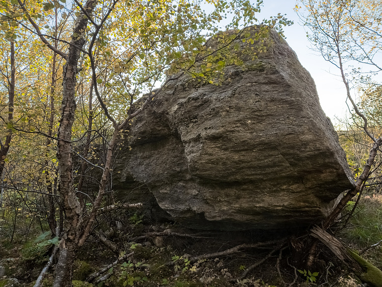 Her finnes det troll