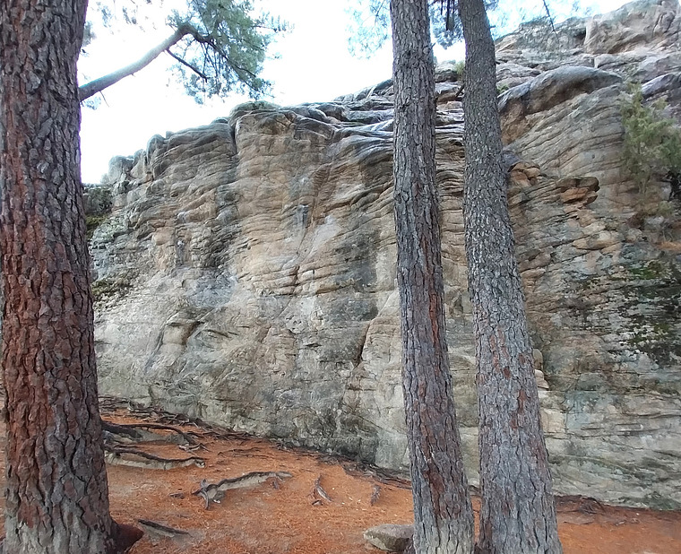 Quebrantaherraduras inferior