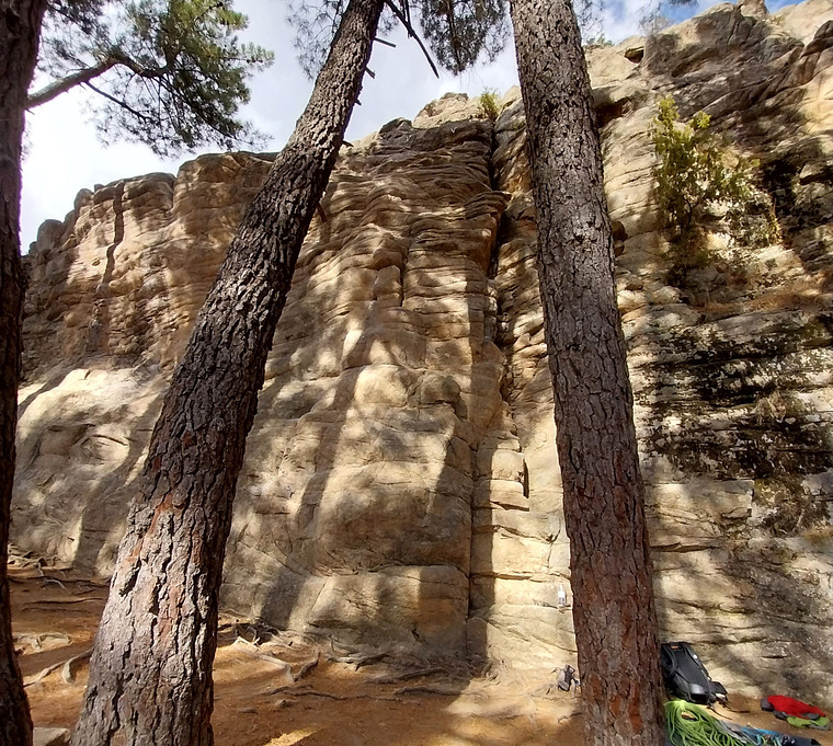 Quebrantaherraduras inferior