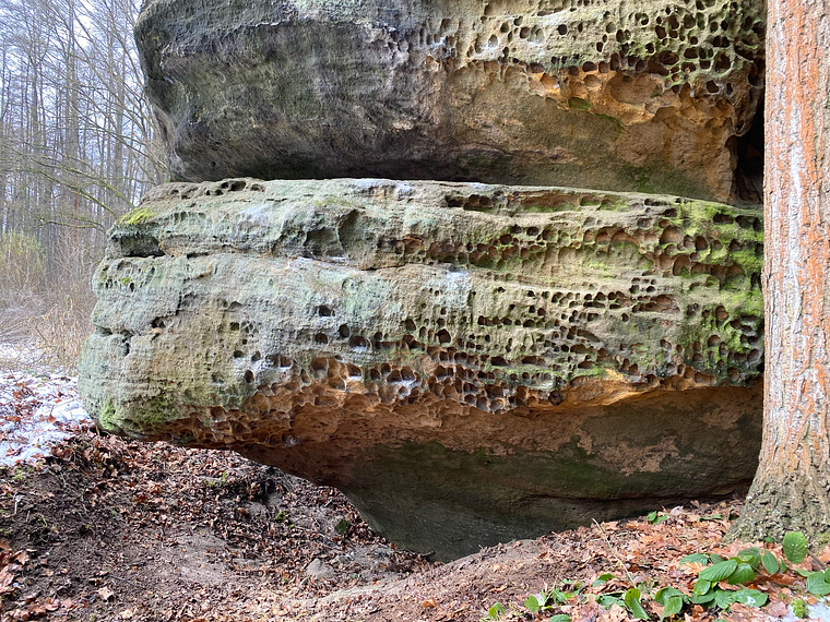 Střecha Bezdomovců