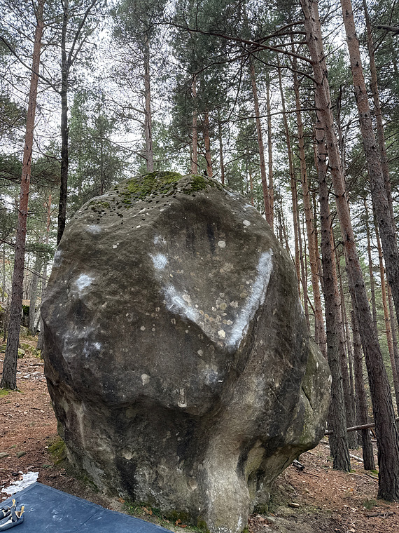 La saison des castagnes 