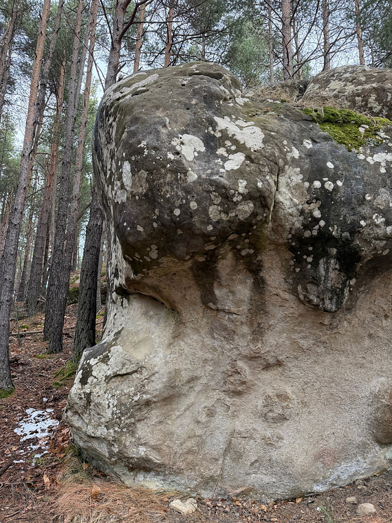 Le canot de sauvetage 