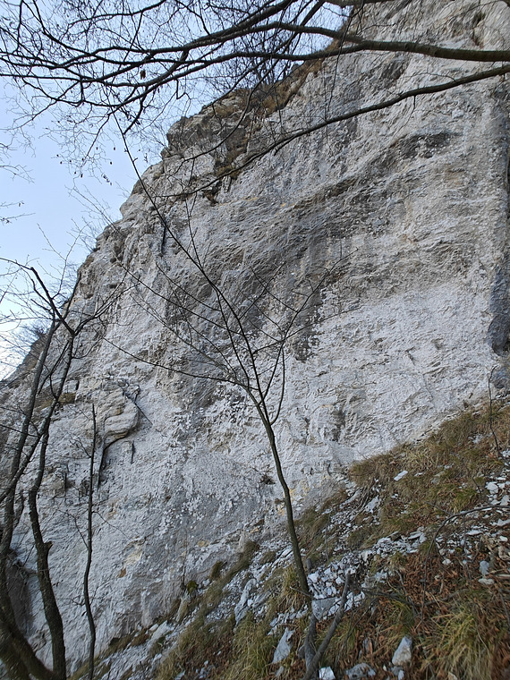 Poggio Dell'Allodola Alto